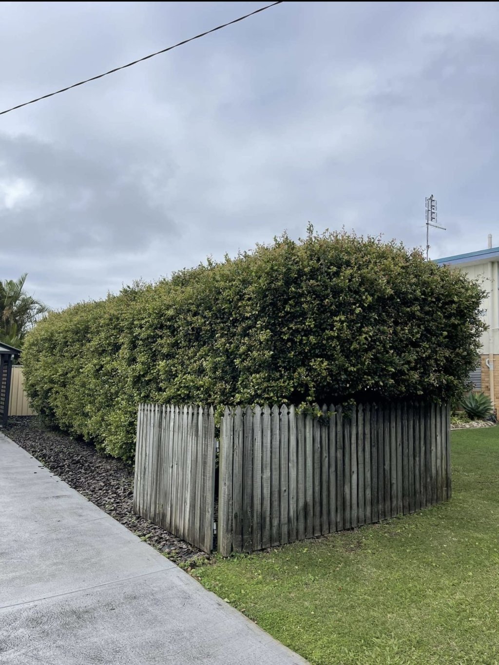 After neatly trimmed front hedge