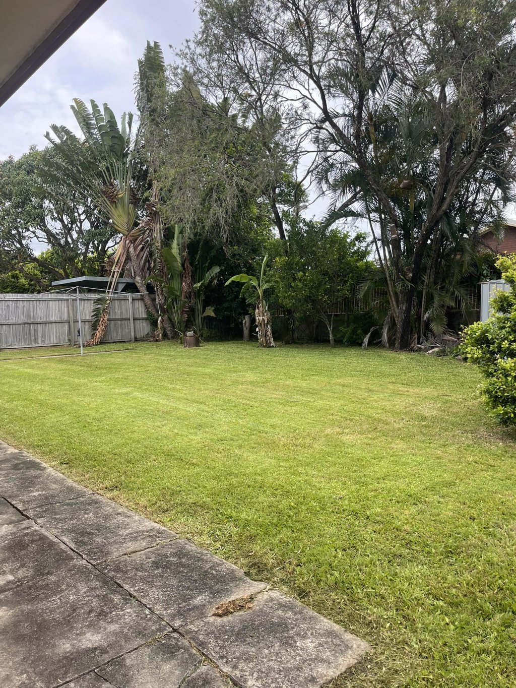 Before open lawn with uneven finish